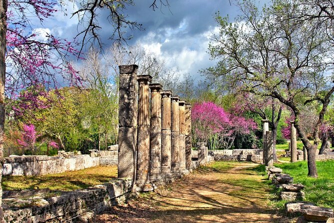 Private Excursion to Ancient Olympia - bee farm & winery - Klio’s Honey Farm and diples with Mrs Roula