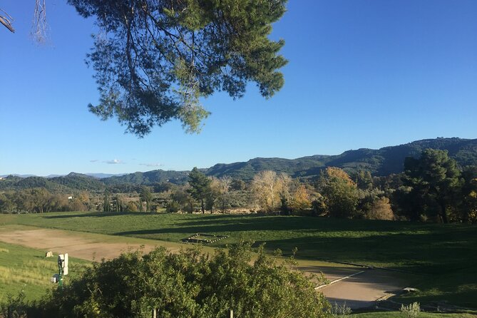 Private Excursion to Ancient Olympia - bee farm & winery - Which guides matter, and what to ask for before you go