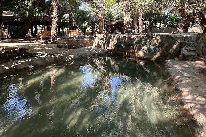 Private Full Day Hatta Visit Dam Heritage Village Lake - Wadi Hatta Park: one hour to try adrenaline (or just watch)