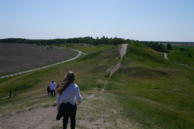 Private Full Day Viking History Tour from Stockholm Including Sigtuna and Uppsala - Uppsala Domkyrka: the big cathedral moment in Nordic history