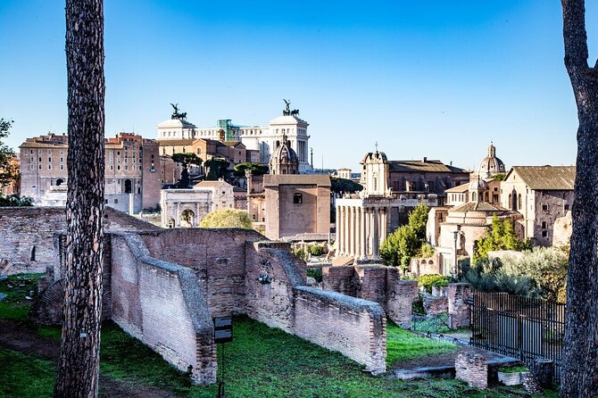 Private Guided Tour in the Colosseum and Ancient Rome - Palatine Hill: Imperial Villas, Quiet Gardens, and the View