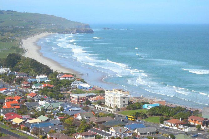 Private Guided Tour of Dunedin City Heritage and Unique Wildlife and Scenery - Key points to know before you book