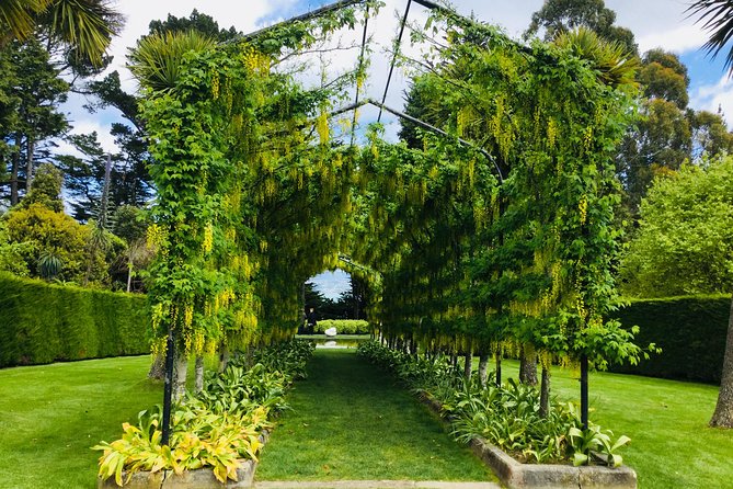 Private Guided Tour of Dunedin City Heritage and Unique Wildlife and Scenery - Penguin Place wildlife tour as your second nature layer