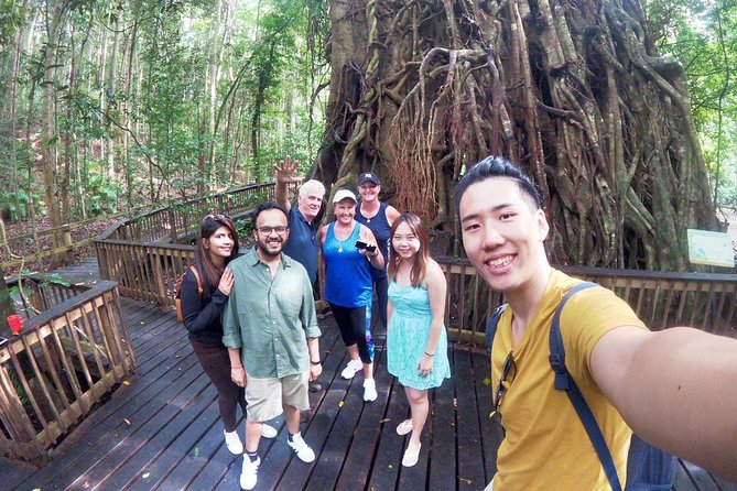 Private Half Day Tour: World Heritage Rainforest & Waterfall - Why this private half-day tour works so well from Cairns