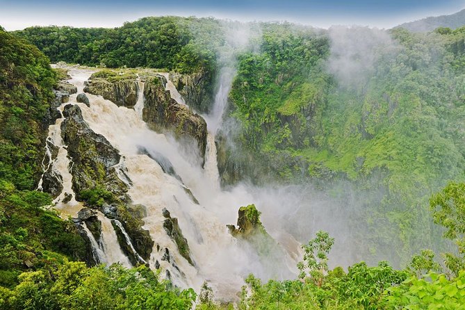 Private Half Day Tour: World Heritage Rainforest & Waterfall - Barron Falls: 15 minutes that’s built for a quick, big payoff