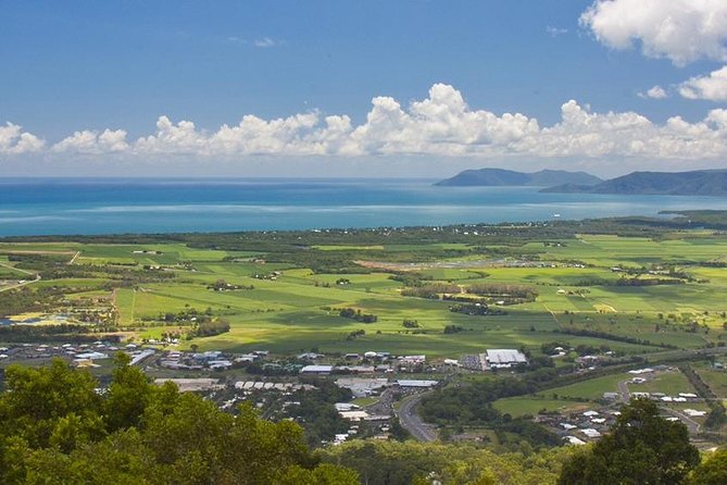 Private Half Day Tour: World Heritage Rainforest & Waterfall - Henry Ross Lookout: the return drive view that ties the day together