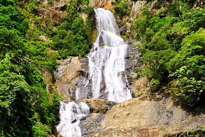 Private Half Day Tour: World Heritage Rainforest & Waterfall - Pickup, timing, and the private-group feel (up to 6)
