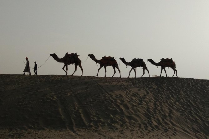 Private Heritage Walking Tour in Jaisalmer Fort and Old Bazaar - Meet Lalu and get oriented in the old lanes