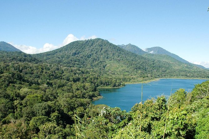 Private Jatiluwih Rice Terraces Heritage Site and Culture Tour - First hour matters: the 9:00 am Ubud pickup rhythm