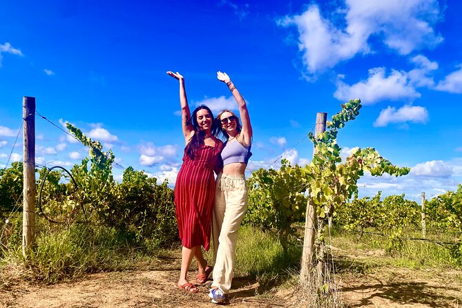 Private Lisbon-Arrábida Wine Tour: 3 Wineries, Coast & Heritage - Mercado do Livramento in Setúbal: oysters, tiles, and serious seafood variety