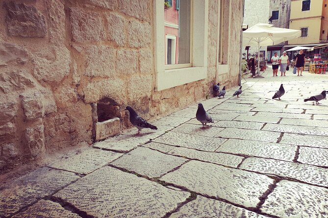 Private Sibenik Walking Historical Morning or Evening Tour - First Look: Why This Walk Works So Well