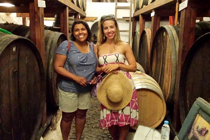 Private Tour: Ancient Akrotiri and Santorini Wineries Tour - Key highlights worth your attention