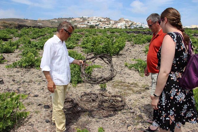 Private Tour: Ancient Akrotiri and Santorini Wineries Tour - What makes the Akrotiri tour special (and what to watch for)