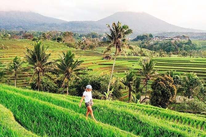 Private Tour: Bali UNESCO World Heritage Sites - Wanagiri Hidden Hills: twin lakes views with a mountain-air reset