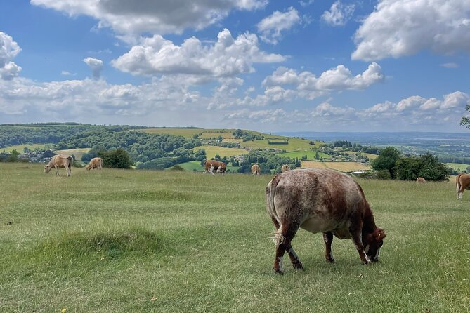 Private tour of the stunning Cotswolds with an expert local guide - Lower Slaughter: a storybook village and an optional lunch stop