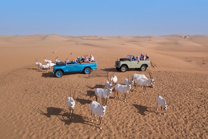 Private Vintage Land Rover Heritage Desert Safari- 4 Course Dinner & Activities - Sunset falcon show: what you’re really paying for