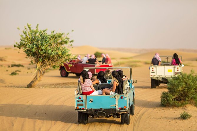 Private Vintage Land Rover Heritage Desert Safari- 4 Course Dinner & Activities - The 60-minute nature safari: gentle, guided, and designed for seeing