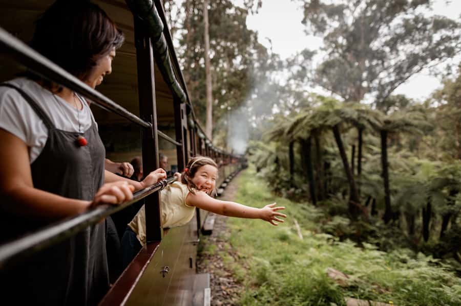 Puffing Billy Railway: Heritage Steam Train Journey - Key things to know before you ride Puffing Billy
