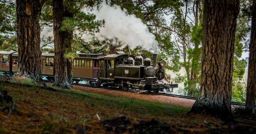Puffing Billy Railway: Heritage Steam Train Journey - The 2 to 4 hours that balance train time and scenery