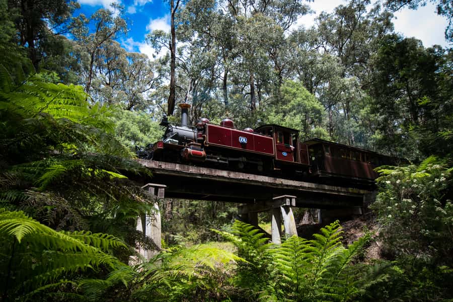 Puffing Billy Railway: Heritage Steam Train Journey - On board the heritage carriages: comfort, rules, and the fun part