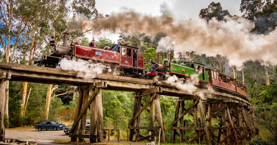 Puffing Billy Railway: Heritage Steam Train Journey - The Lakeside Visitor Centre stop that makes waiting worthwhile