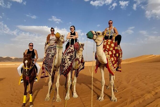 Red Sand Adventure 4x4 (Camel Ride ,Quad Biking, Heritage House) - Red Sand dunes: quad biking and camel calm