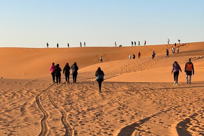 Red Sand Dunes Tour with Camel Ride ,Quad Biking, Heritage House - Campfire Dinner Under the Stars: The Evening That Makes It Worth It