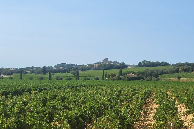 Roman Heritage & Wine Legacy - Air-conditioned comfort and real logistics