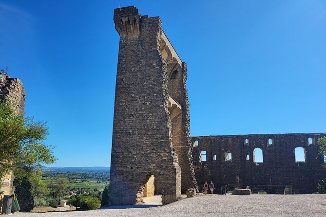 Roman Heritage & Wine Legacy - Châteauneuf-du-Pape tastings: where the wine talk becomes real