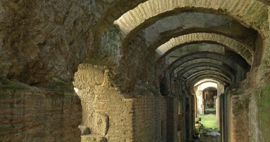 Rome: Ancient History and Colosseum Underground Tour - Why the Colosseum Underground Changes the Whole Story