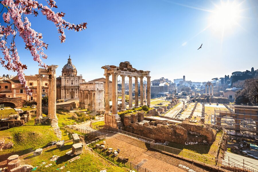 Rome: Colosseum and Ancient Rome Guided Walking Tour - Climbing Palatine Hill for Rome Viewpoints That Actually Pay Off