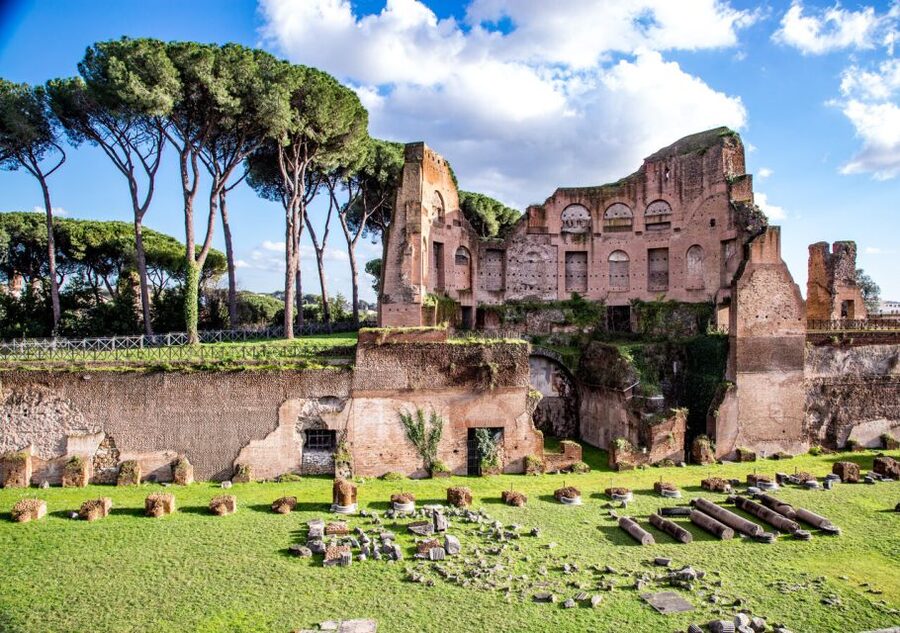 Rome: Colosseum Arena Access and Ancient Rome Guided Tour - Palatine Hill, Imperial Palaces, and the Steps That Come With It
