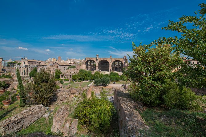 Rome: Colosseum Arena, Roman Forum & Palatine Hill Tour - Live Guide vs Audio Option: Don’t Mix Them Up