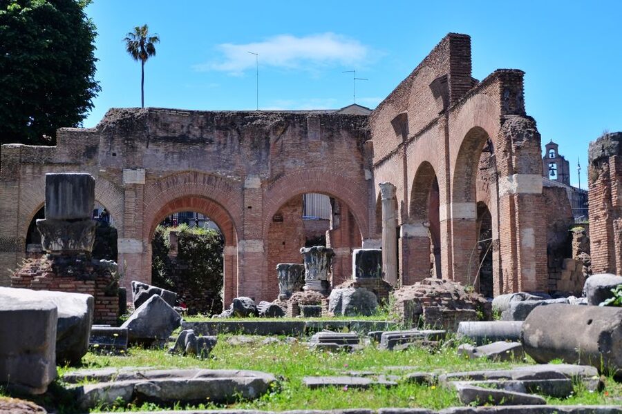 Rome: Introduction to the Colosseum and Ancient City Tour - The Roman Forum: where power, money, and everyday life met