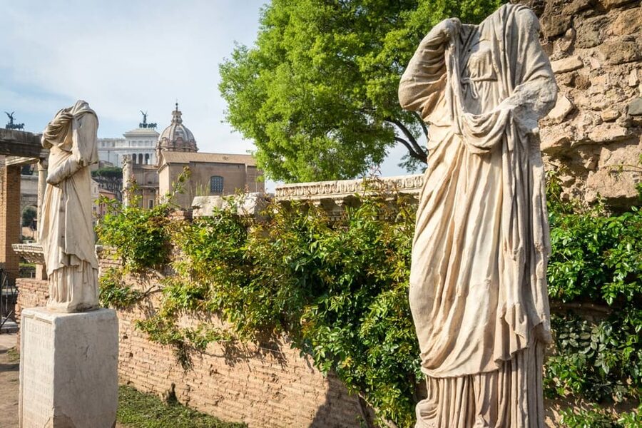 Rome: Private Colosseum Experience and Ancient Ruins Tour - Palatine Hill Views Over Circus Maximus and the City
