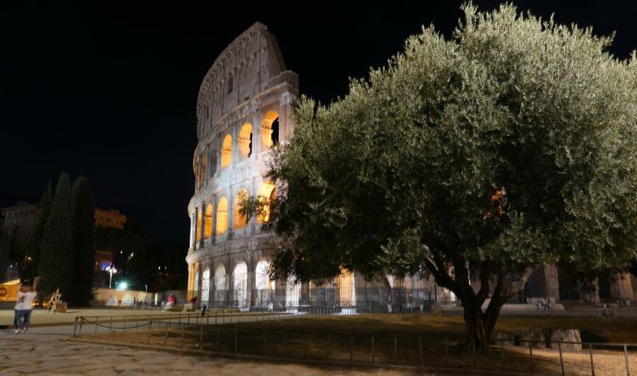 Rome: Wonders of Ancient Rome at Dusk - The Colosseum from outside: how the guide brings the games to life