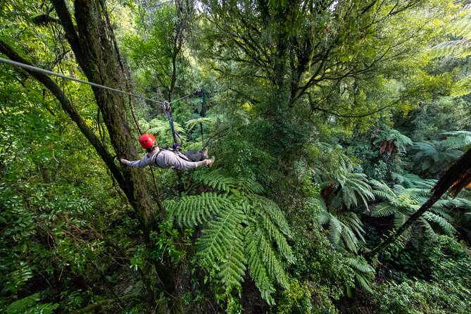 Rotorua Canopy Tours: 2.5Hour Native Forest Zipline Adventure - Suited up and strapped in: safety briefing without the drama