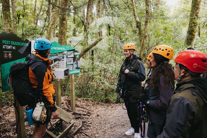 Rotorua Canopy Tours: 2.5Hour Native Forest Zipline Adventure - The zipline circuit: canopy views, bridges, and the number of runs