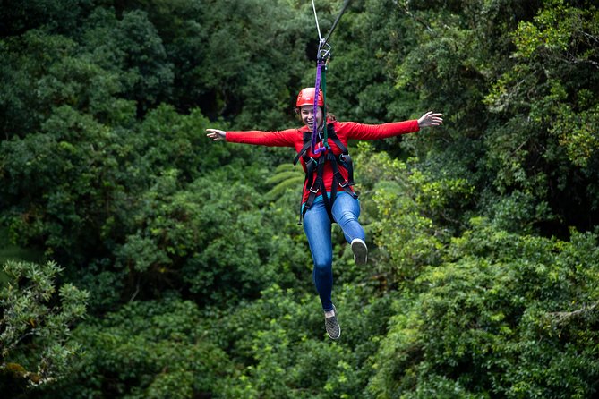 Rotorua Canopy Tours: 2.5Hour Native Forest Zipline Adventure - More than thrills: learning about native forest restoration