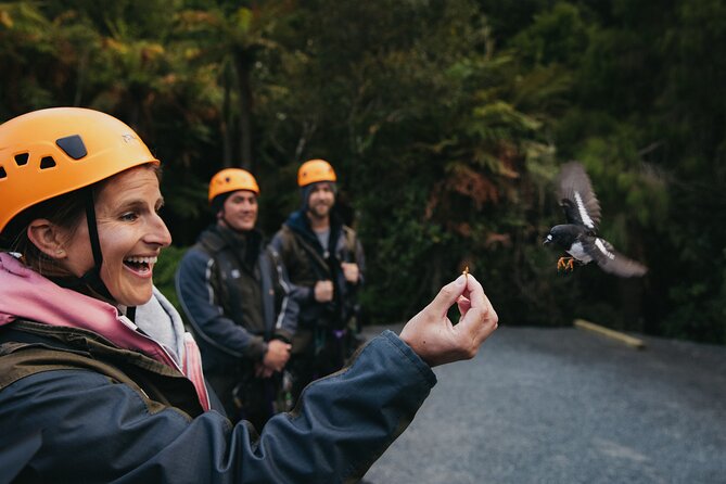 Rotorua Canopy Tours: 2.5Hour Native Forest Zipline Adventure - Photos and wet weather gear: two smart inclusions