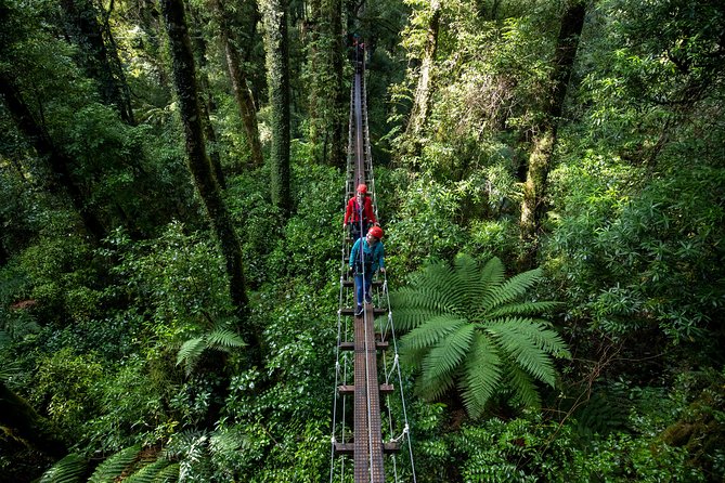 Rotorua Canopy Tours: 2.5Hour Native Forest Zipline Adventure - Who should book this canopy zipline adventure in Rotorua