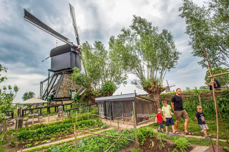 Rotterdam: Kinderdijk UNESCO World Heritage Entry Ticket - Key highlights you can’t miss