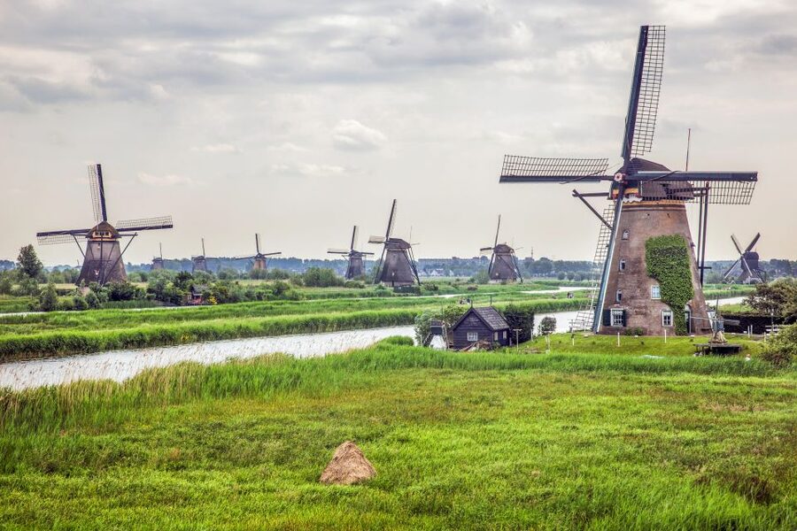 Rotterdam: Kinderdijk UNESCO World Heritage Entry Ticket - Walking the village and polder trails: pace yourself and plan for sun