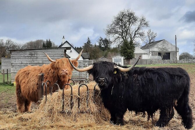 Scottish Whisky Distillery & Fairytale Dunrobin Castle - Invergordon Day-Trip Rhythm: built for cruise timing