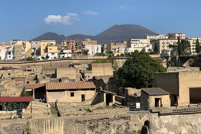 Secret Herculaneum: The Hidden Treasure of Ancient Roman Civilization - College of the Augustales and Casa d’Argo: worship and myth on display