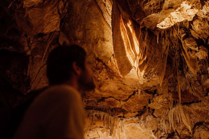 Self-Guided Ngilgi Cave Ancient Lands Experience - The Ancient Lands walk: bushland learning before the cave cool-down