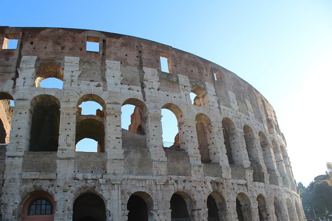 Semi-private tour: Colosseum & Ancient Rome VIP - Palatine Hill in 30 minutes: the Romulus and Remus origin story