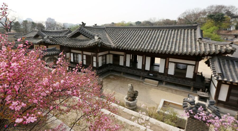Seoul: UNESCO Heritage Palace, Shrine, and More Tour - Why the $36 price can make sense (and when it doesn’t)