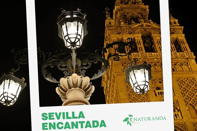 Seville Evening Historical Tour with Haunted History - Starting at Plaza del Triunfo and Entering the Santa Cruz Labyrinth