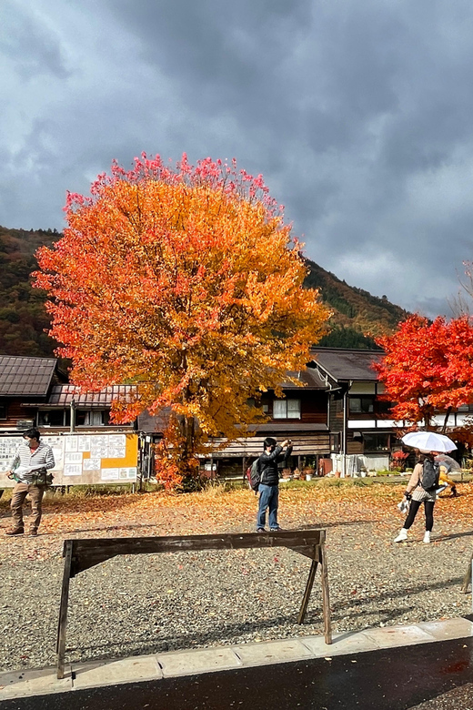 Shirakawa-go UNESCO Half-Day Tour from Takayama - The Guided Walk Through the Village: What You Gain Beyond Photos